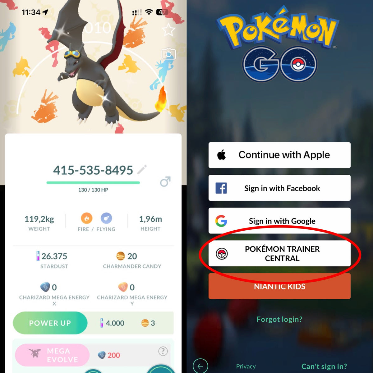 Shiny Charizard Horizons background trade or account