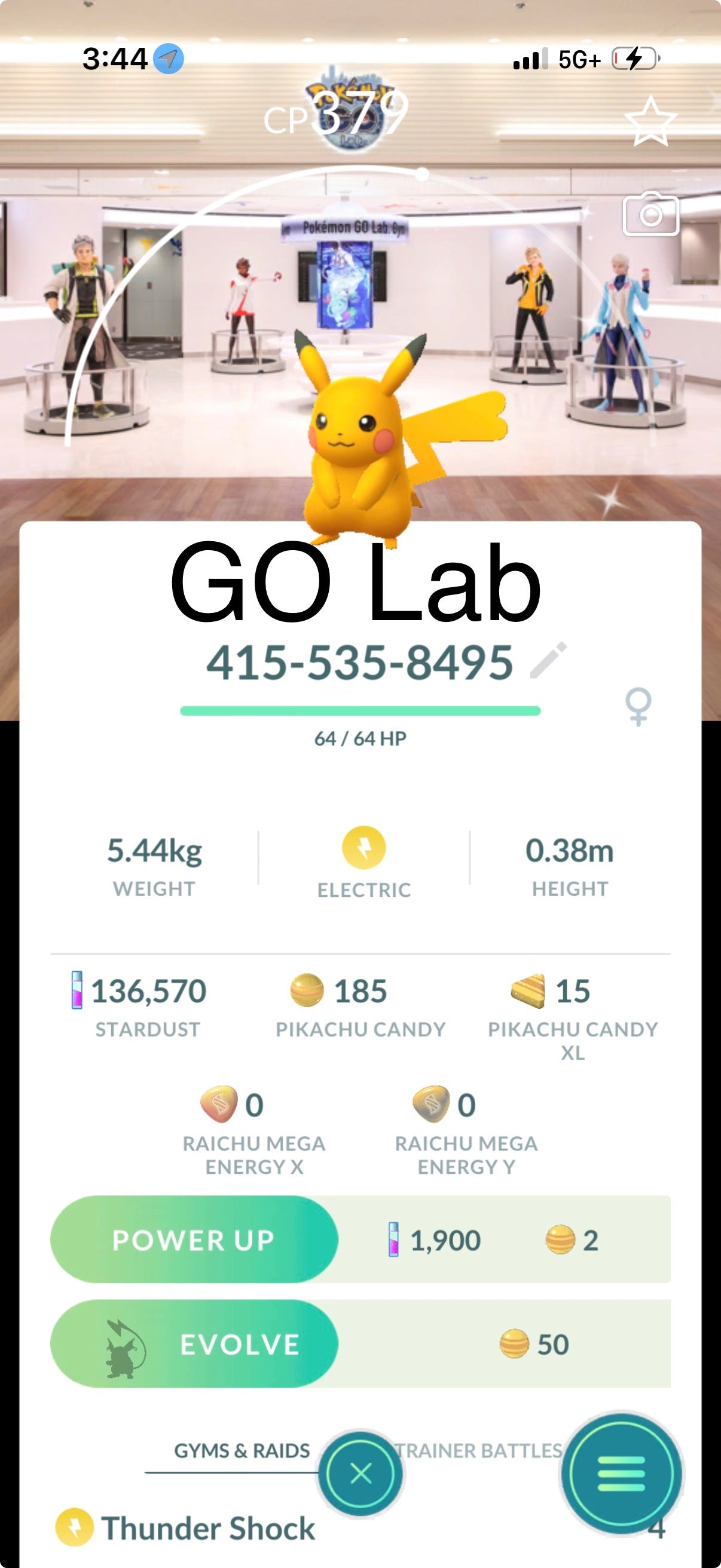 All 18 Shiny Pikachu’s trade or accounts