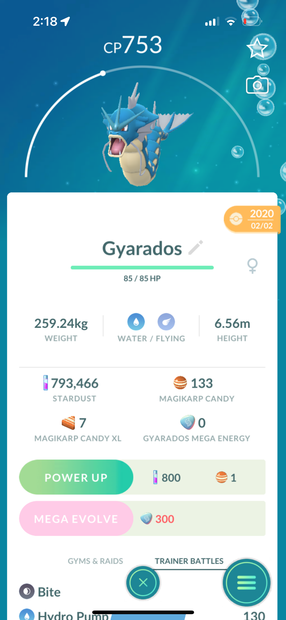 5 Gyarados trades (caught in 2020)