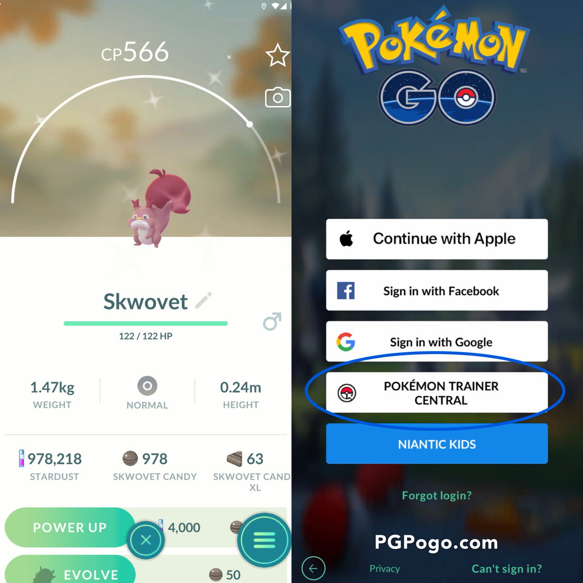 Shiny Skwovet account