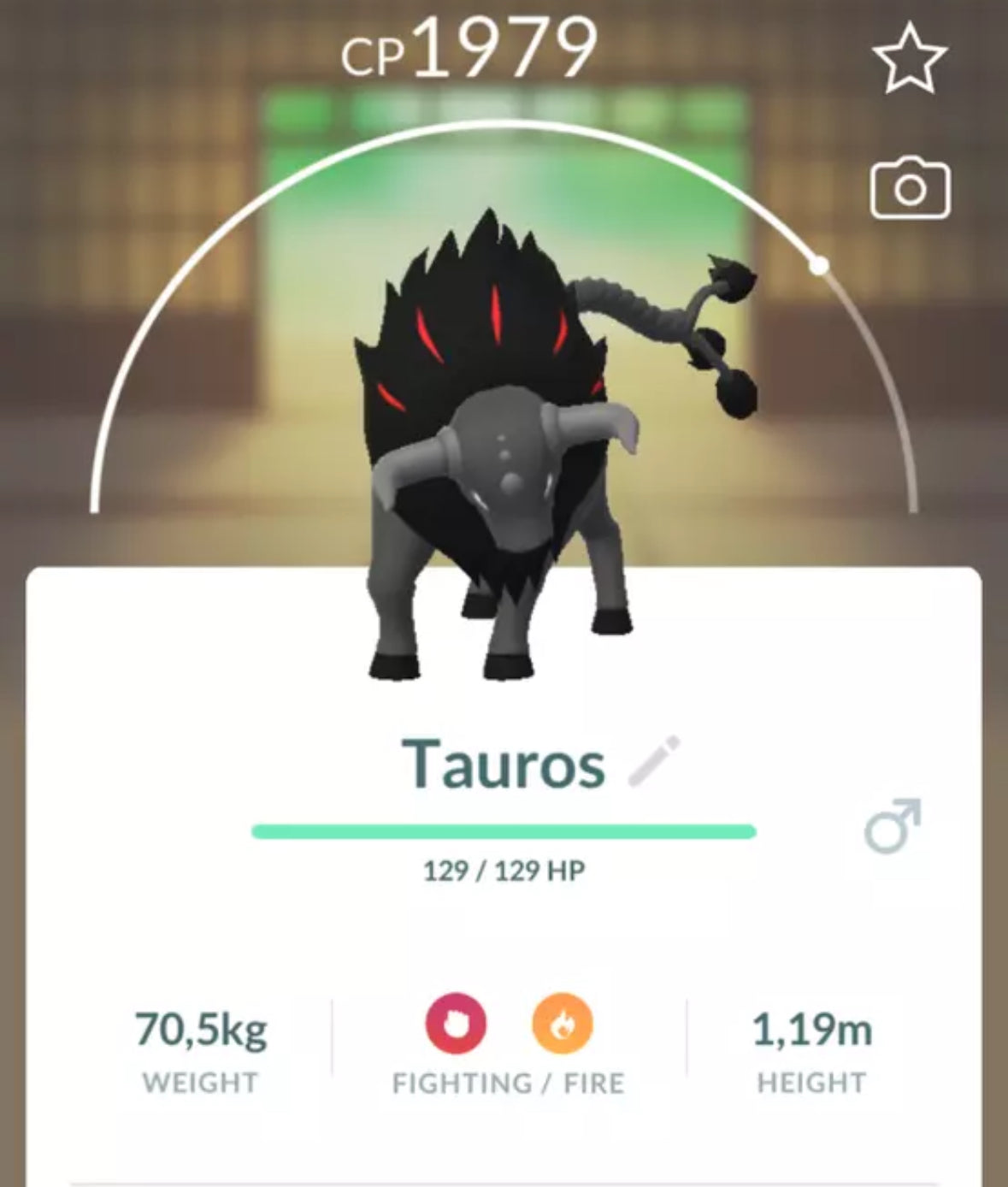 Paldean Tauros Blaze trade