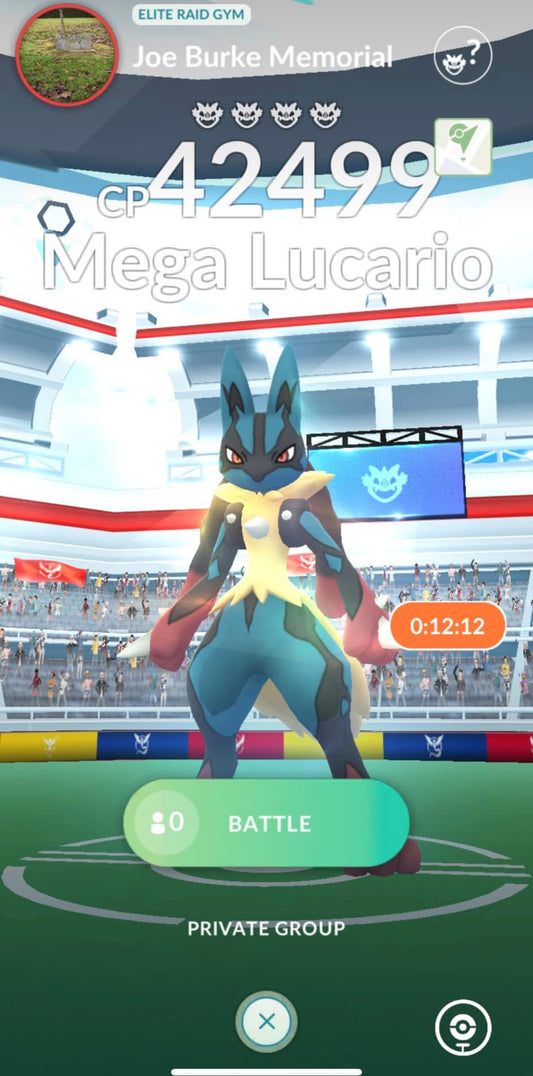 Articuno Moltres Zapdos & Mega Lucario raid service