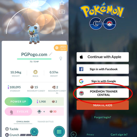 Shiny Rockruff account