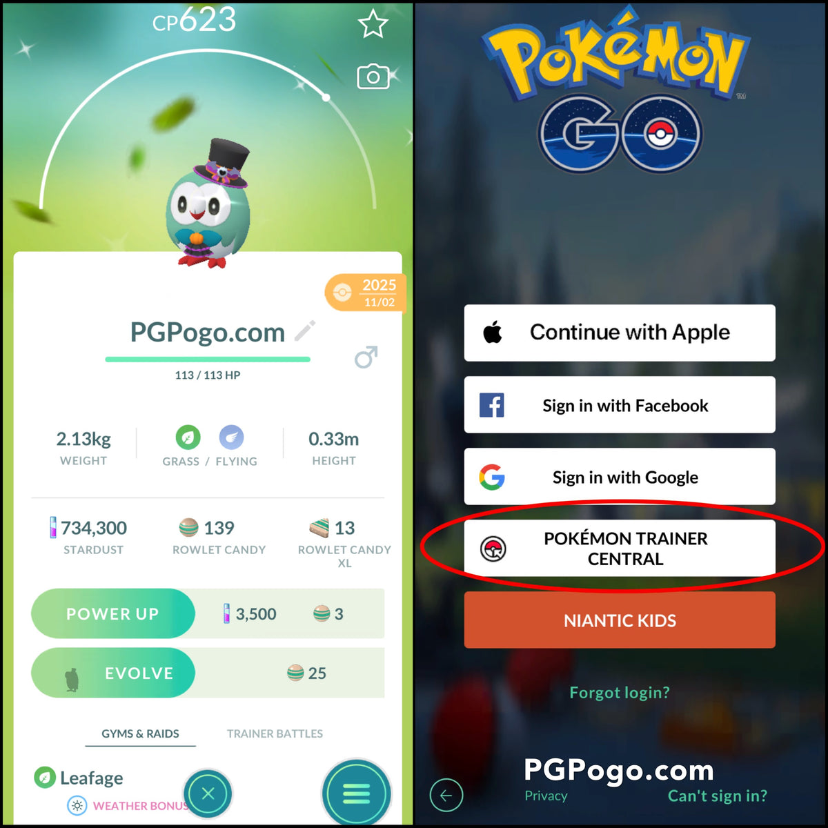 Shiny Rowlet Costume account