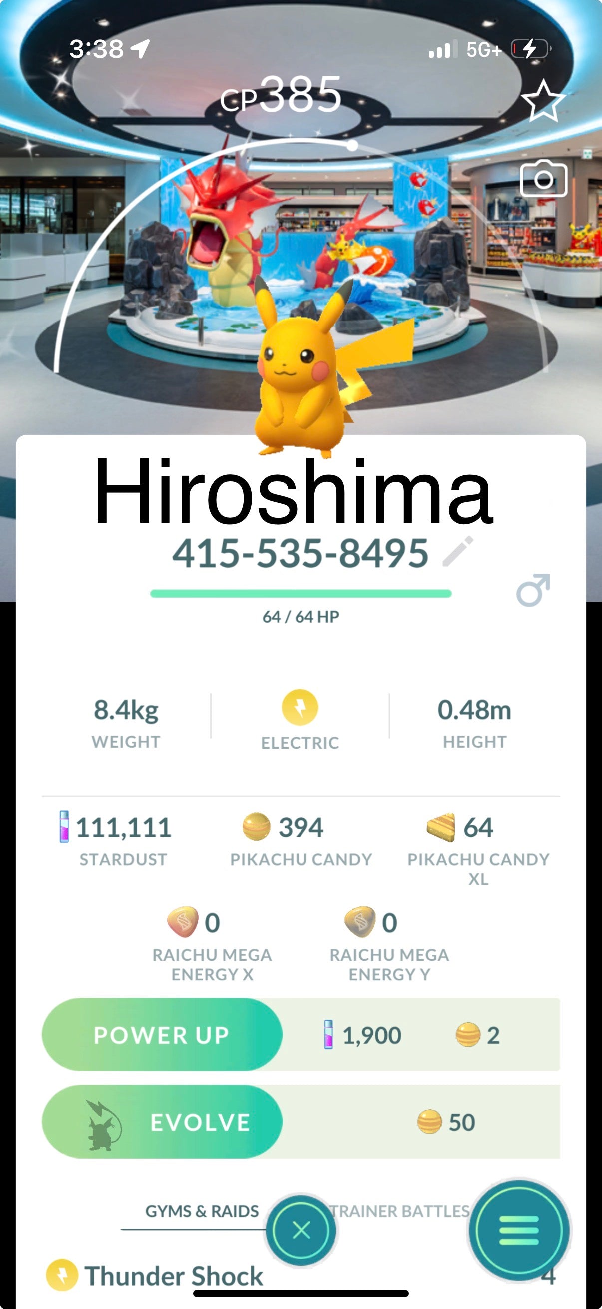 All 18 Shiny Pikachu’s trade or accounts