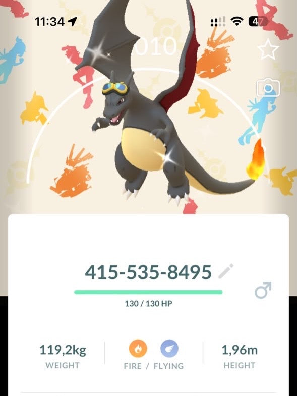 Shiny Charizard Horizons background trade or account