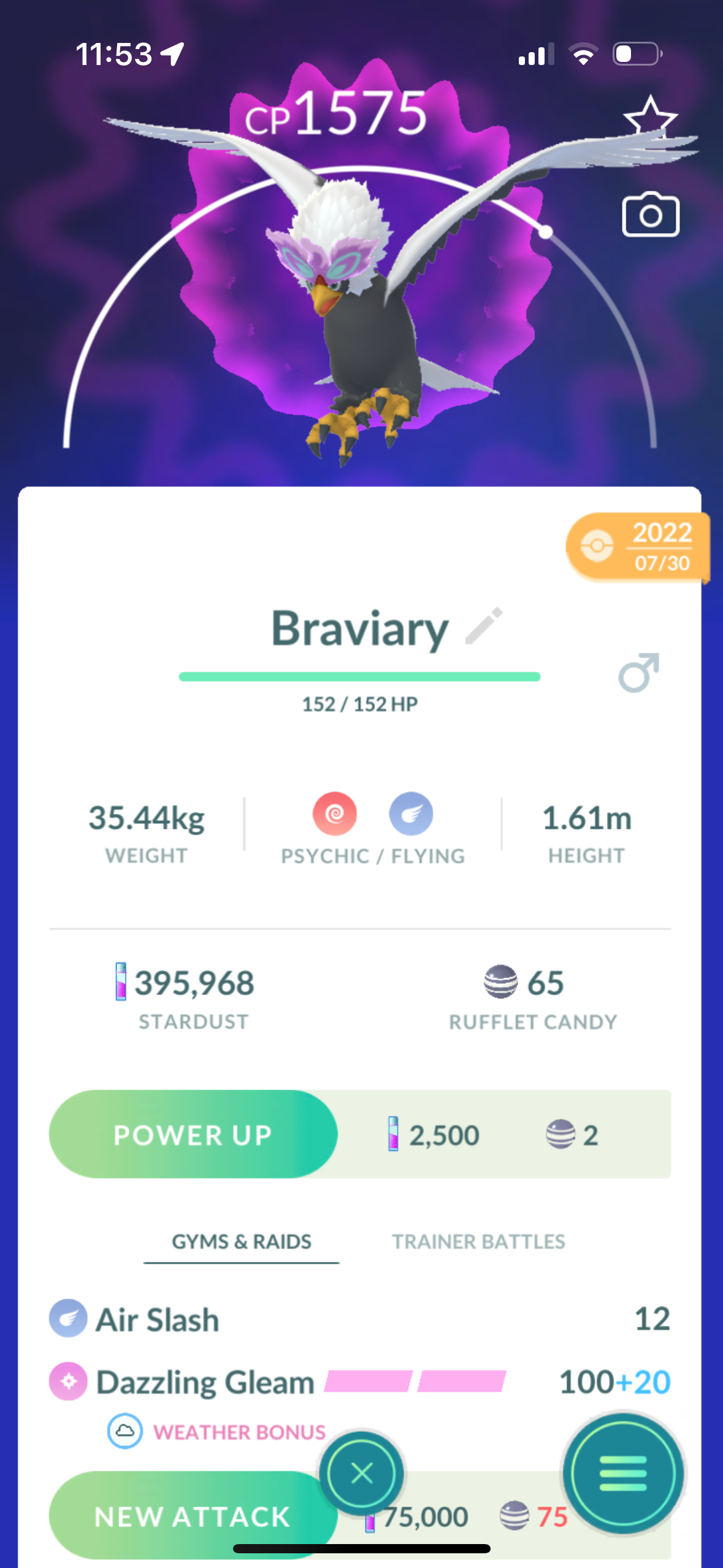 Hisuian Braviary (caught in 2022)