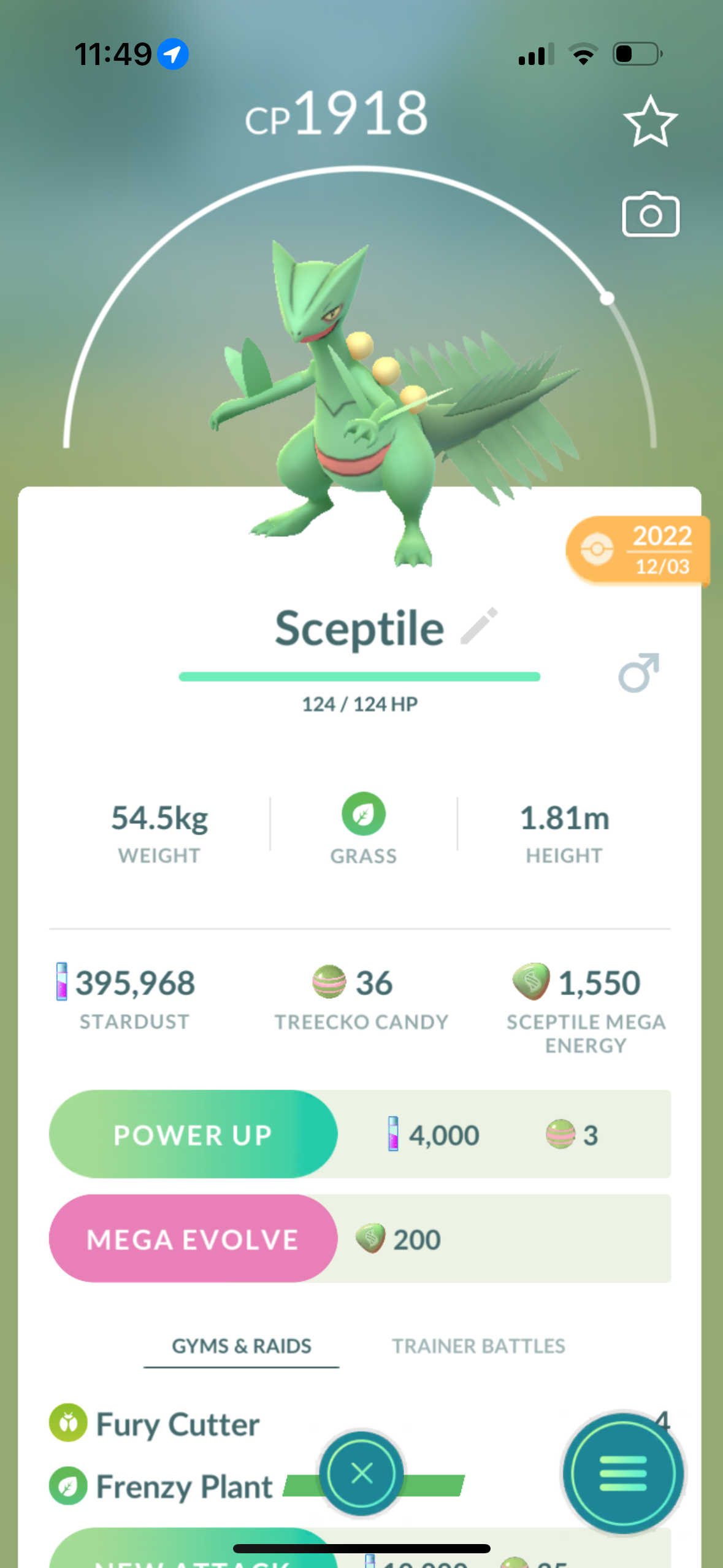 Sceptile Trade Frenzy Plant (caught in 2022)