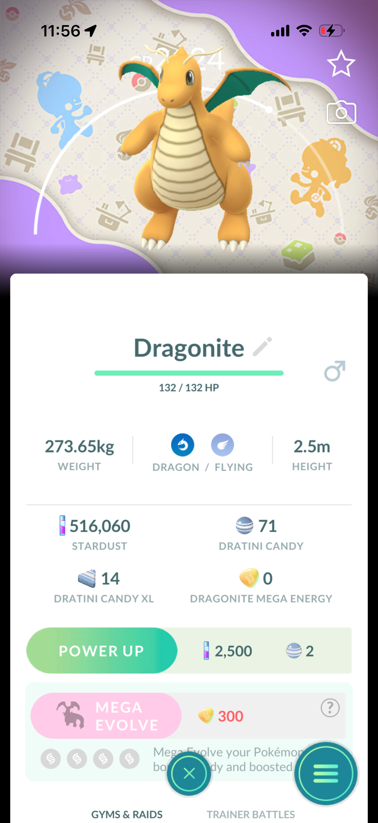 VerdeDragonite account