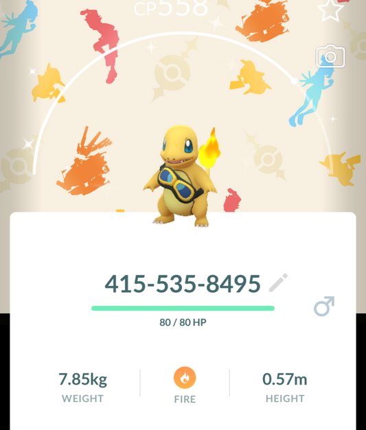 Shiny Charmander Goggles account or registered trade