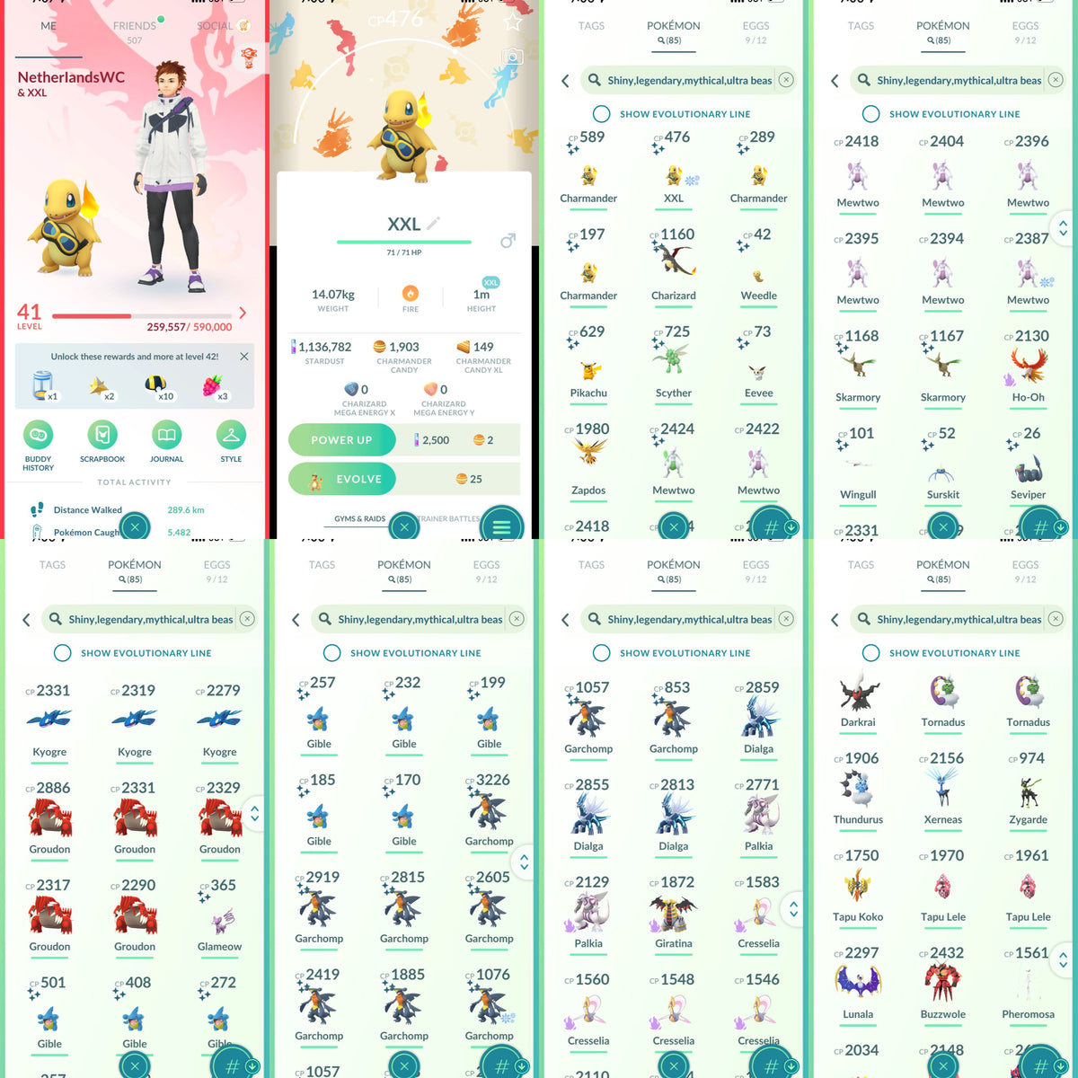 NetherlandsWC account 85 Shiny/Legendary & 1.1M Stardust