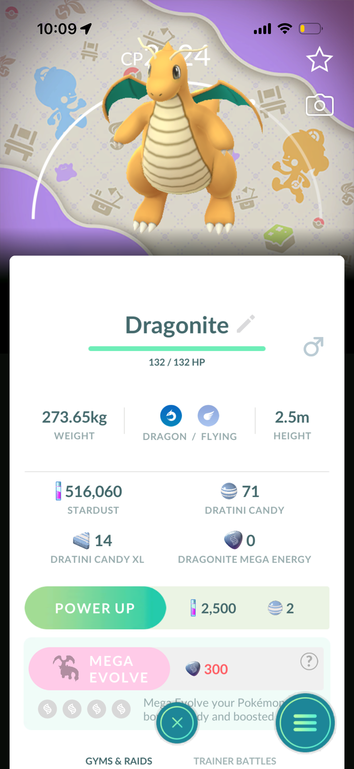 VerdeDragonite account
