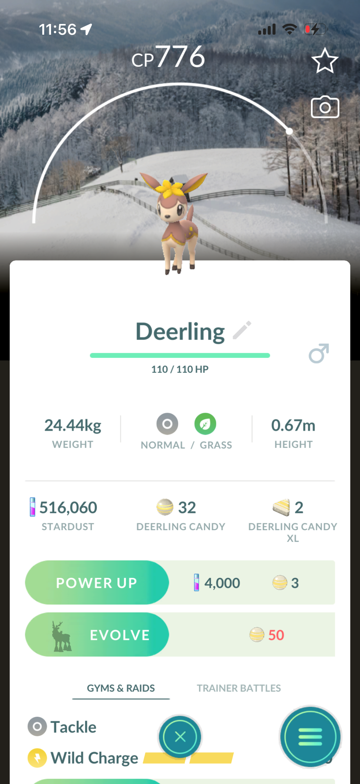 VerdeDragonite account