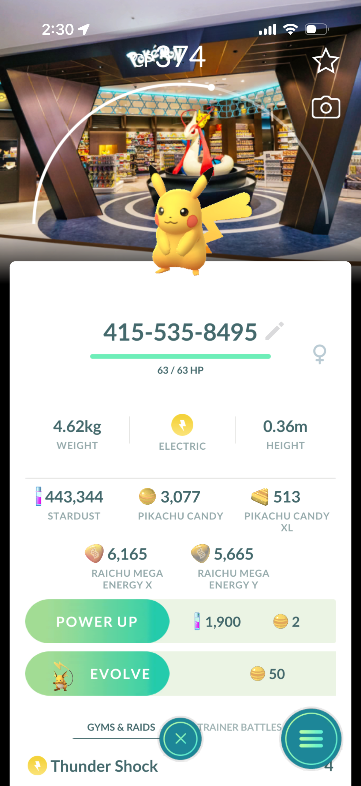 18 different Background Pikachu’s caught on your account