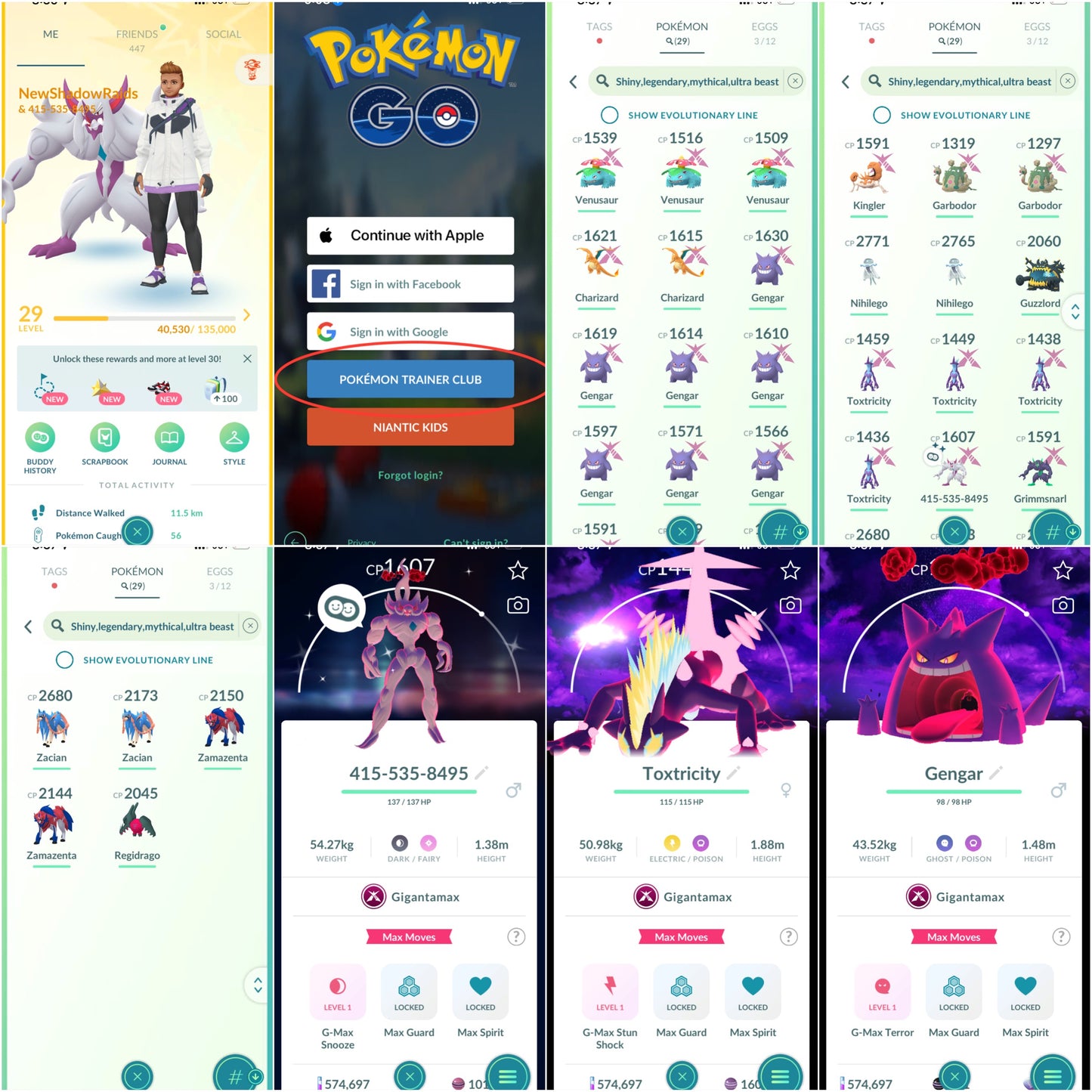 NewShadowRaids account (29 Shiny/Legendary/Gigantamax)