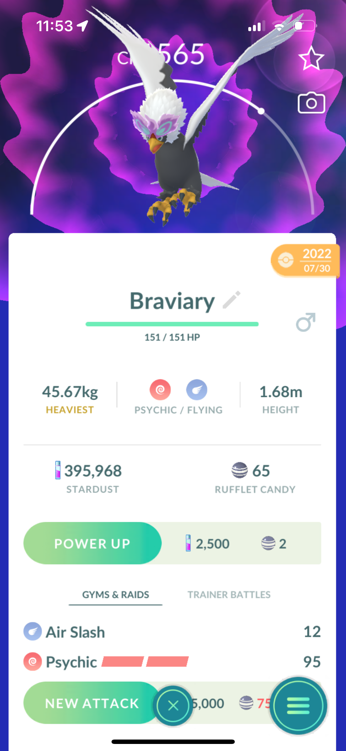 Hisuian Braviary (caught in 2022)