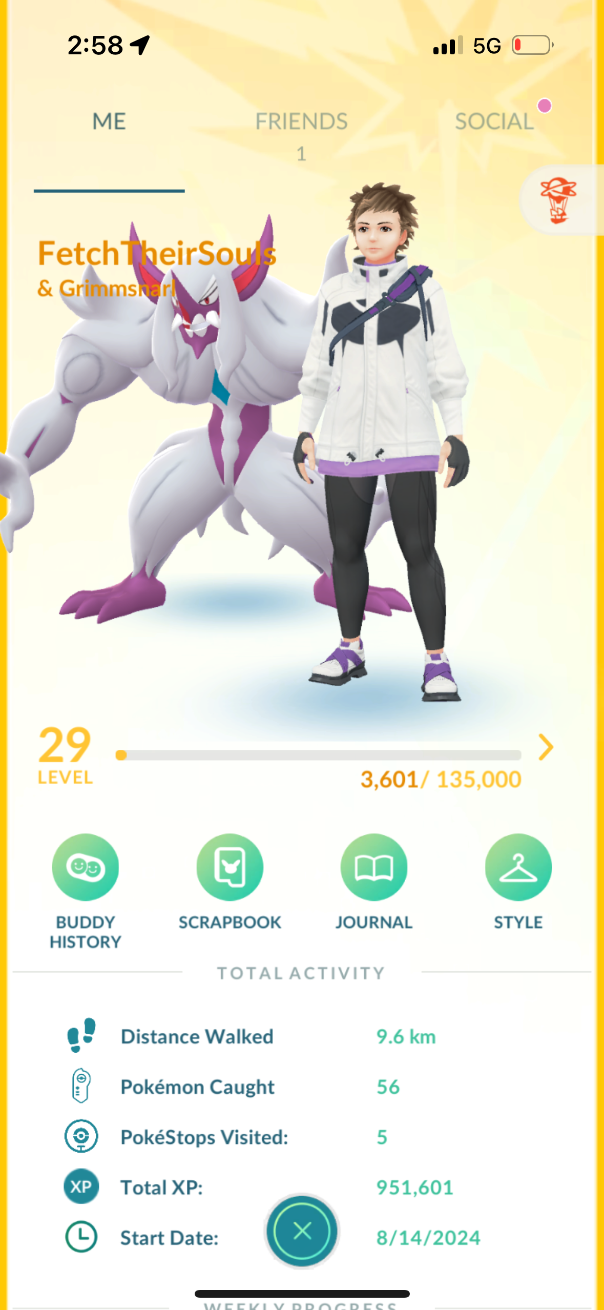 FetchTheirSouls account (23 Shiny/Legendary/Gigantamax)