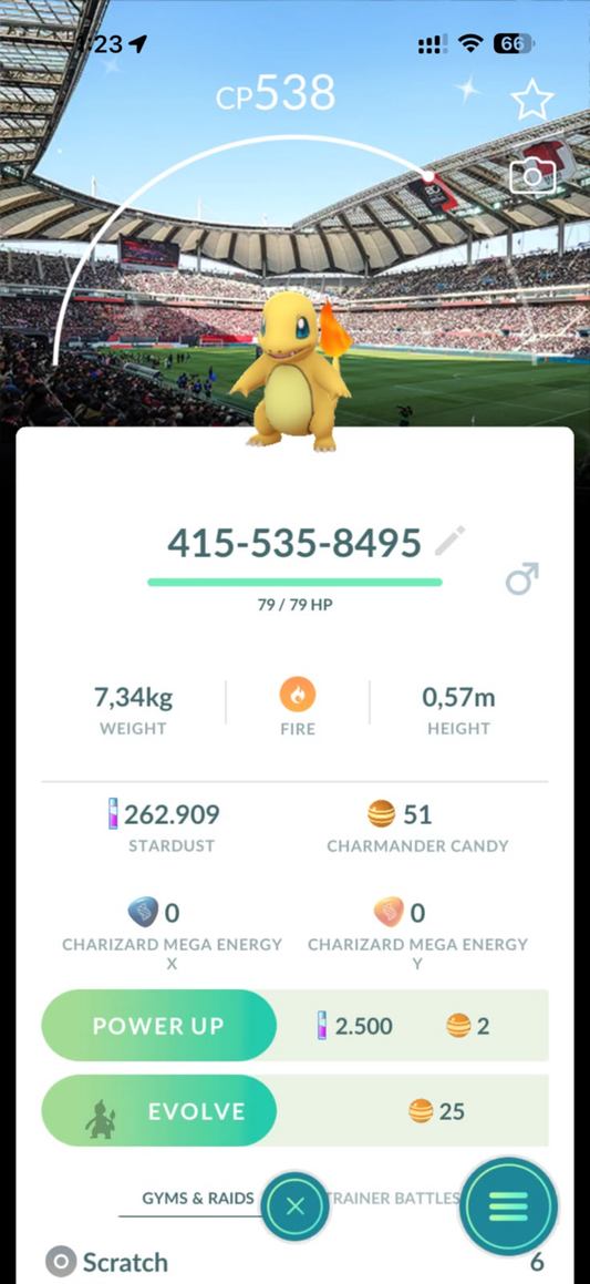 Shiny Charmander Seoul Stadium background