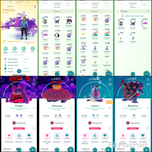 GTPMaxPack (14 Gmax/7 shiny/legendary