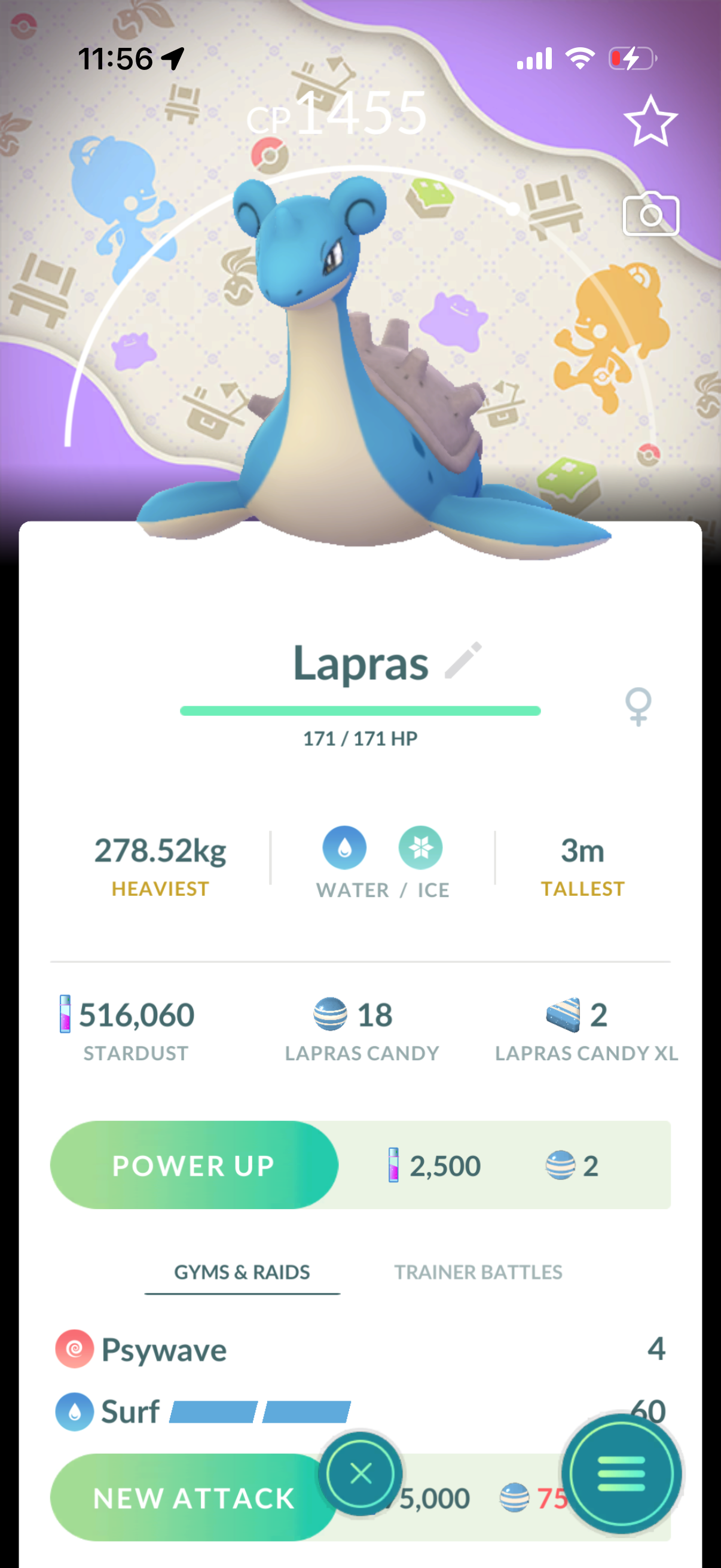 VerdeDragonite account