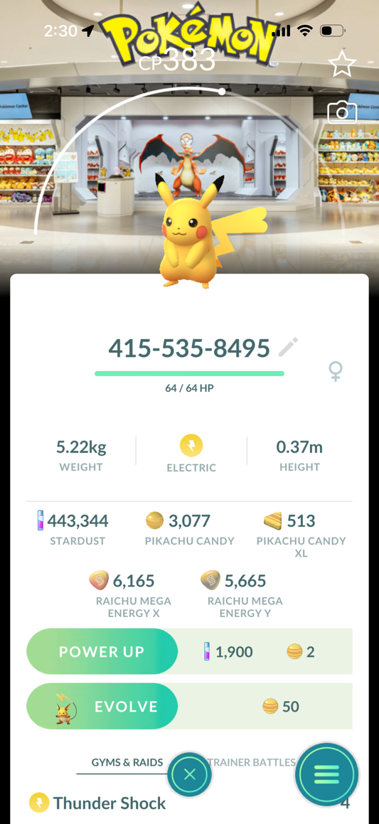18 different Background Pikachu’s caught on your account