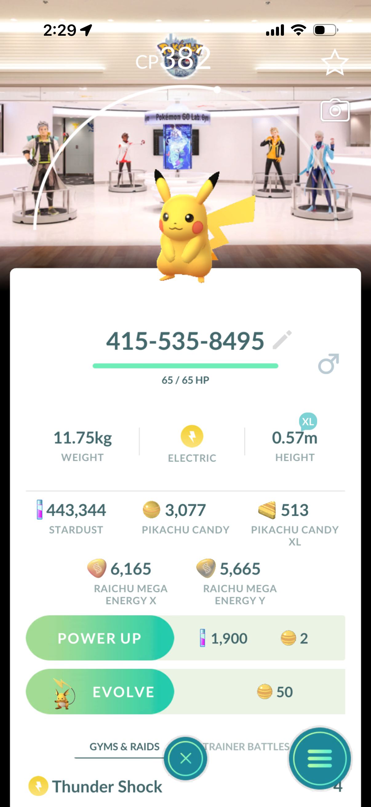 18 different Background Pikachu’s caught on your account