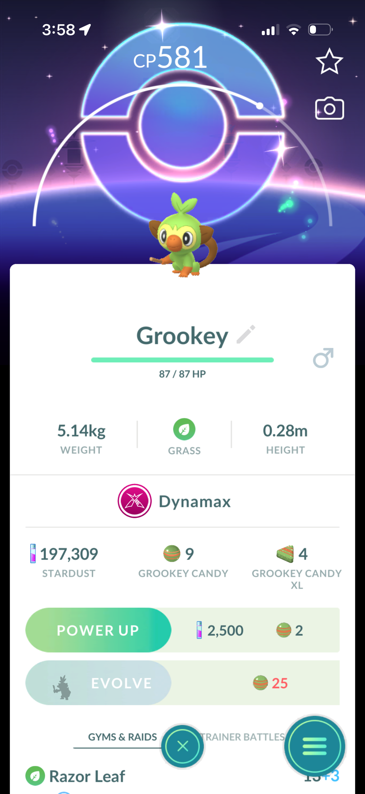 SoloClimber account (15 Shiny/Legendary/Gigantamax)