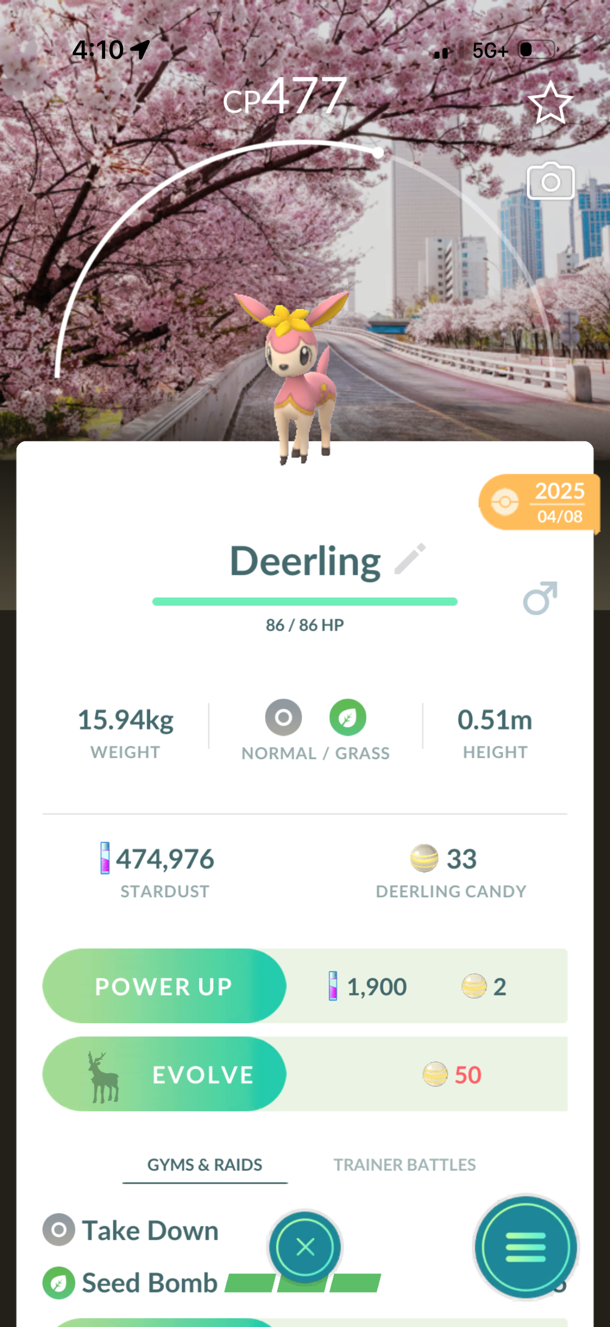 TateTheTalisman account (12 Shiny/Gigantamax)