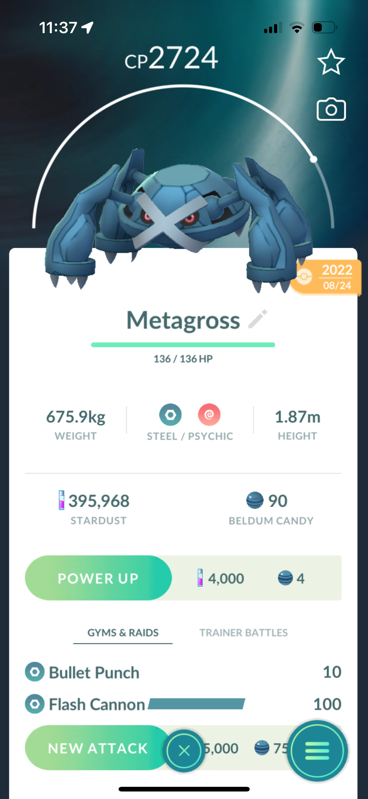 Metagross Trade (xxl option)