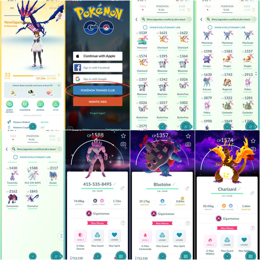 NewGigantamax account (32 Shiny/Legendary/Gigantamax)