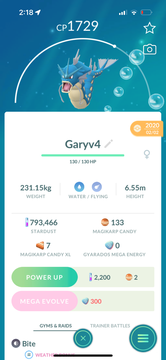 5 Gyarados trades (caught in 2020)