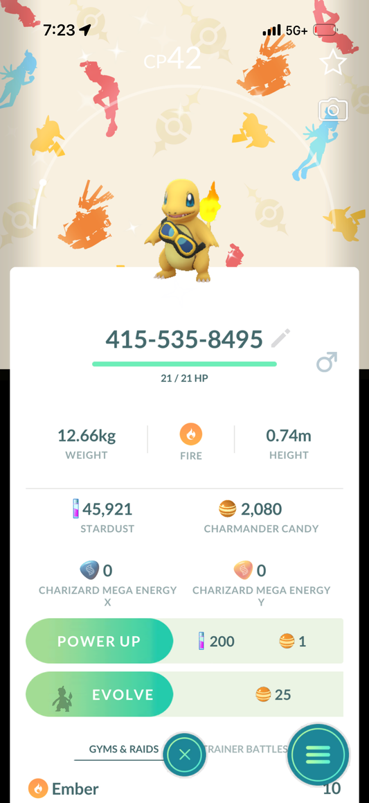 Shesco account 4 Shiny Charmanders and 45k Stardust