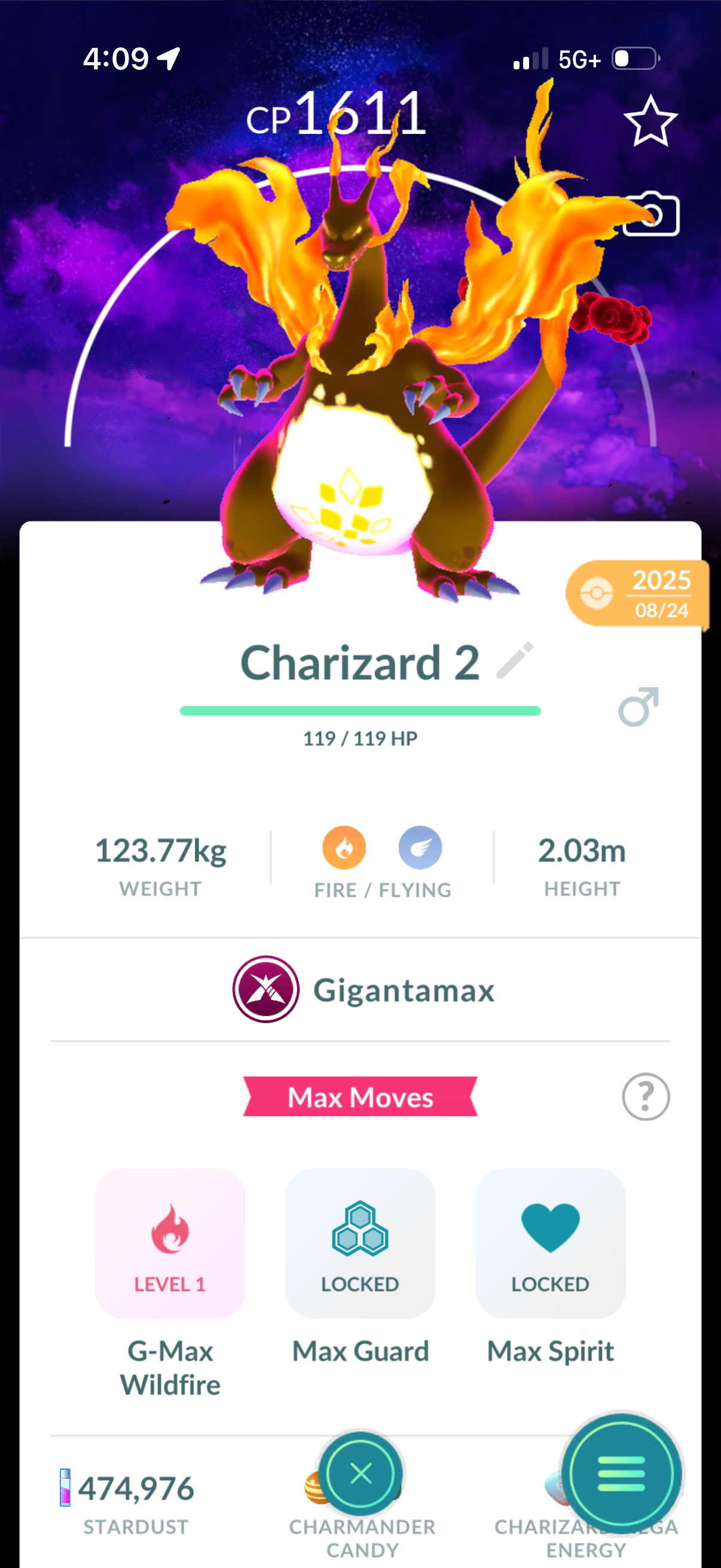 TateTheTalisman account (12 Shiny/Gigantamax)