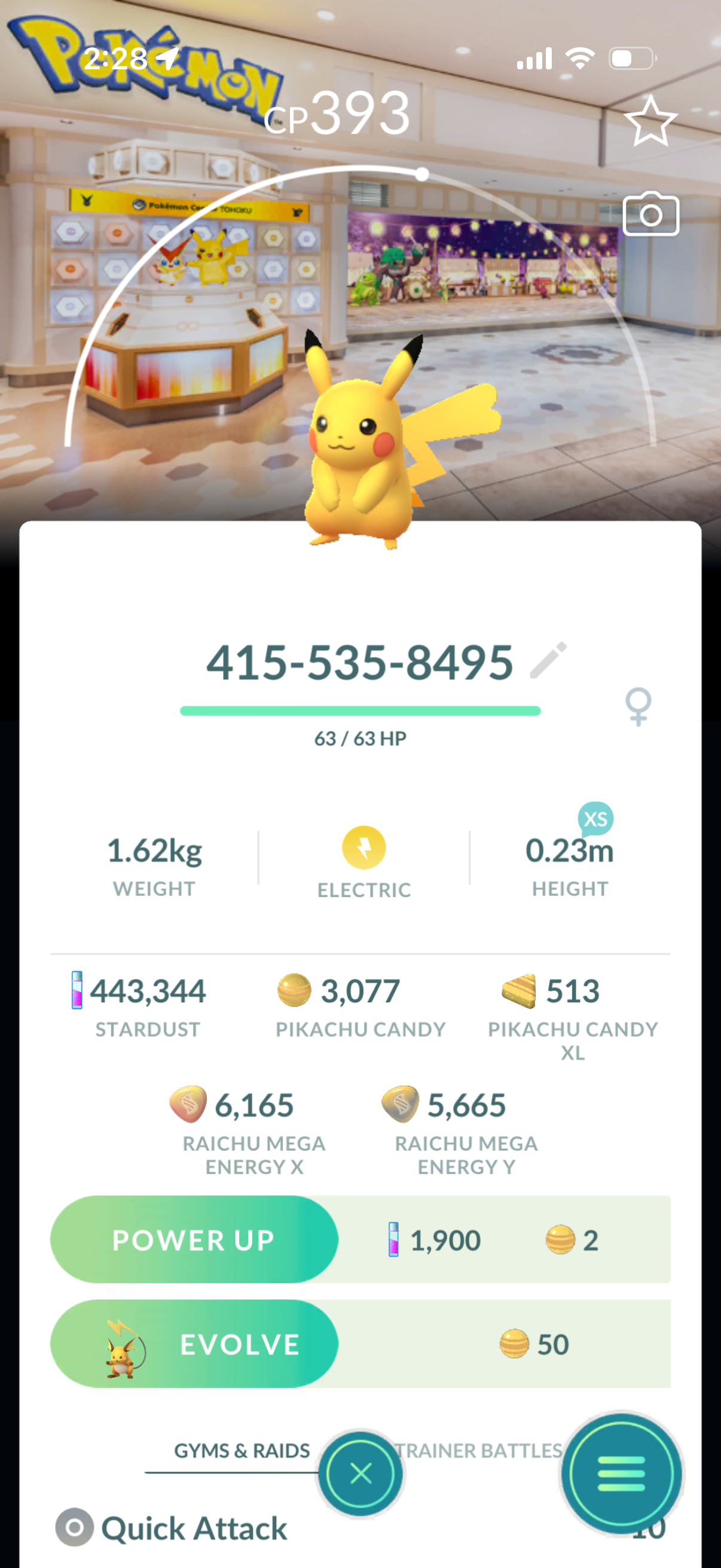 18 different Background Pikachu’s caught on your account