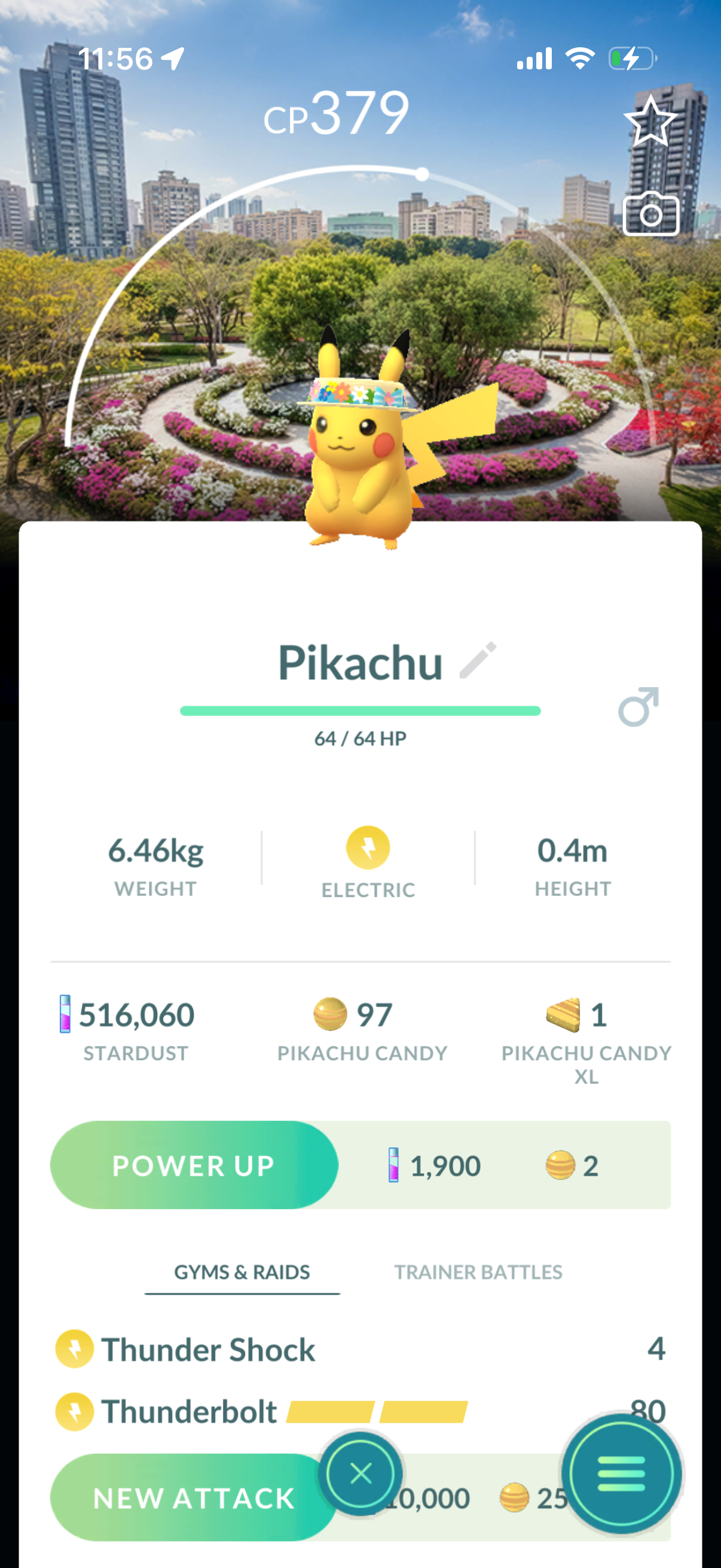 VerdeDragonite account