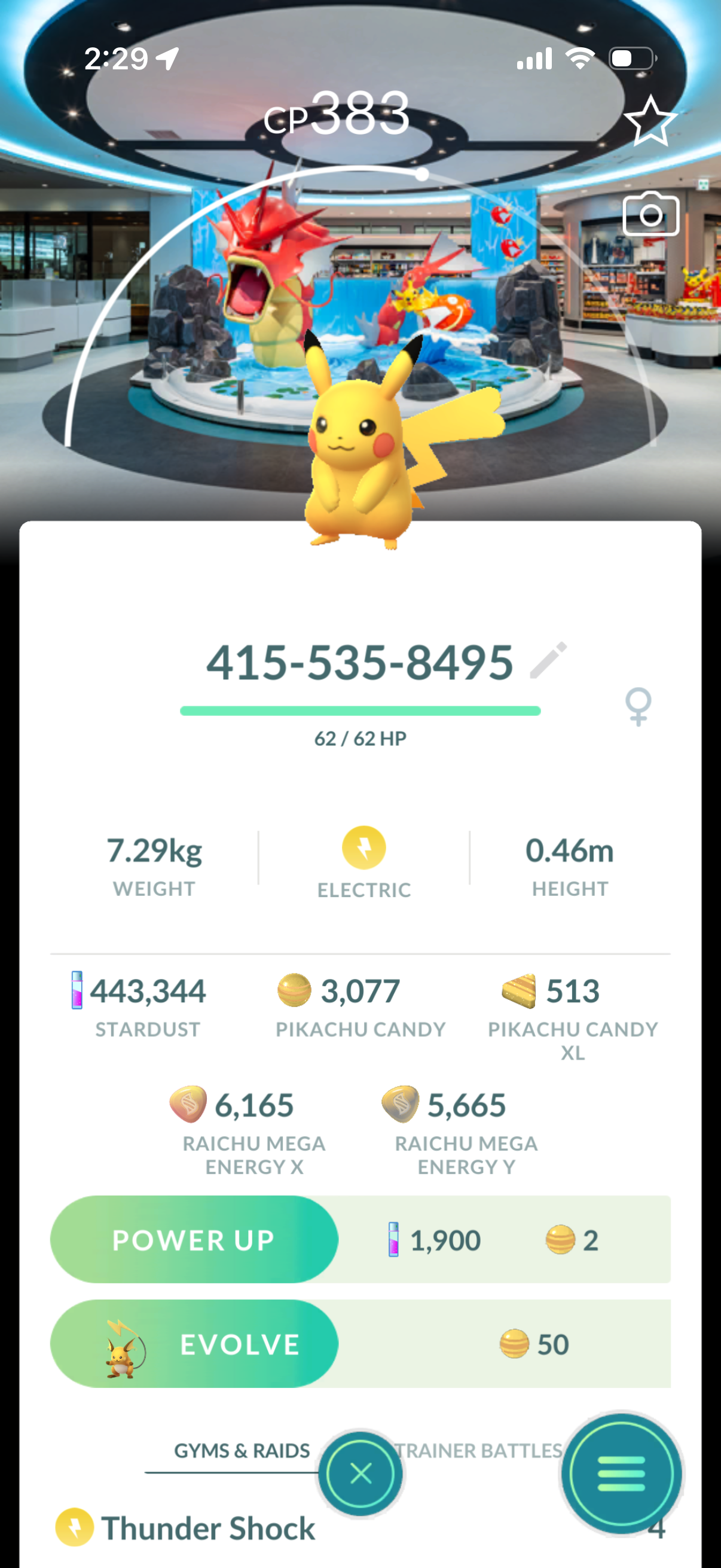 18 different Background Pikachu’s caught on your account