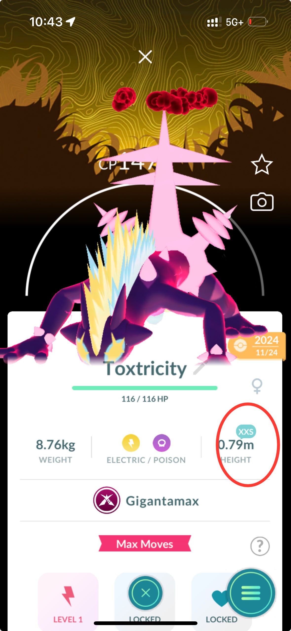 FAFO2025 account (23 shiny/legendary/gigantamax)