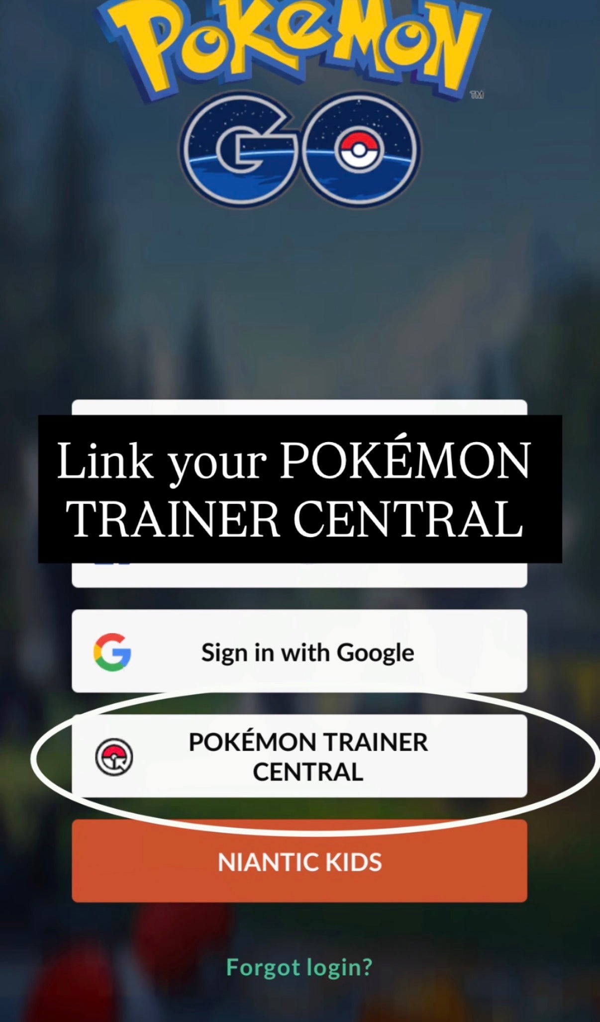 Super Mega Skarmory Raid Day service