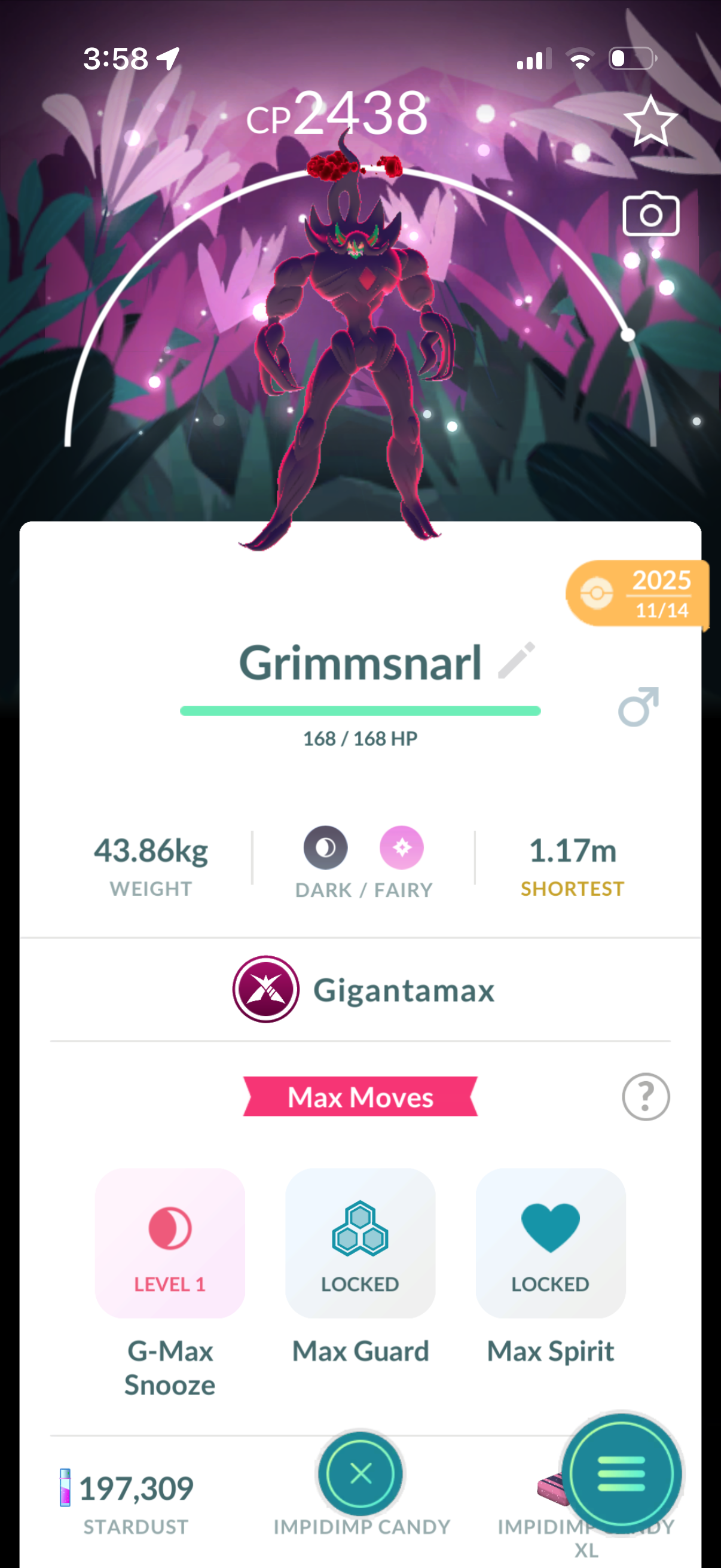 SoloClimber account (15 Shiny/Legendary/Gigantamax)