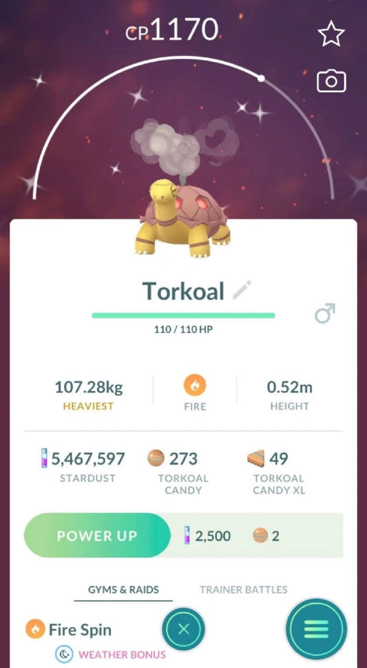 Shiny Torkoal trade or account