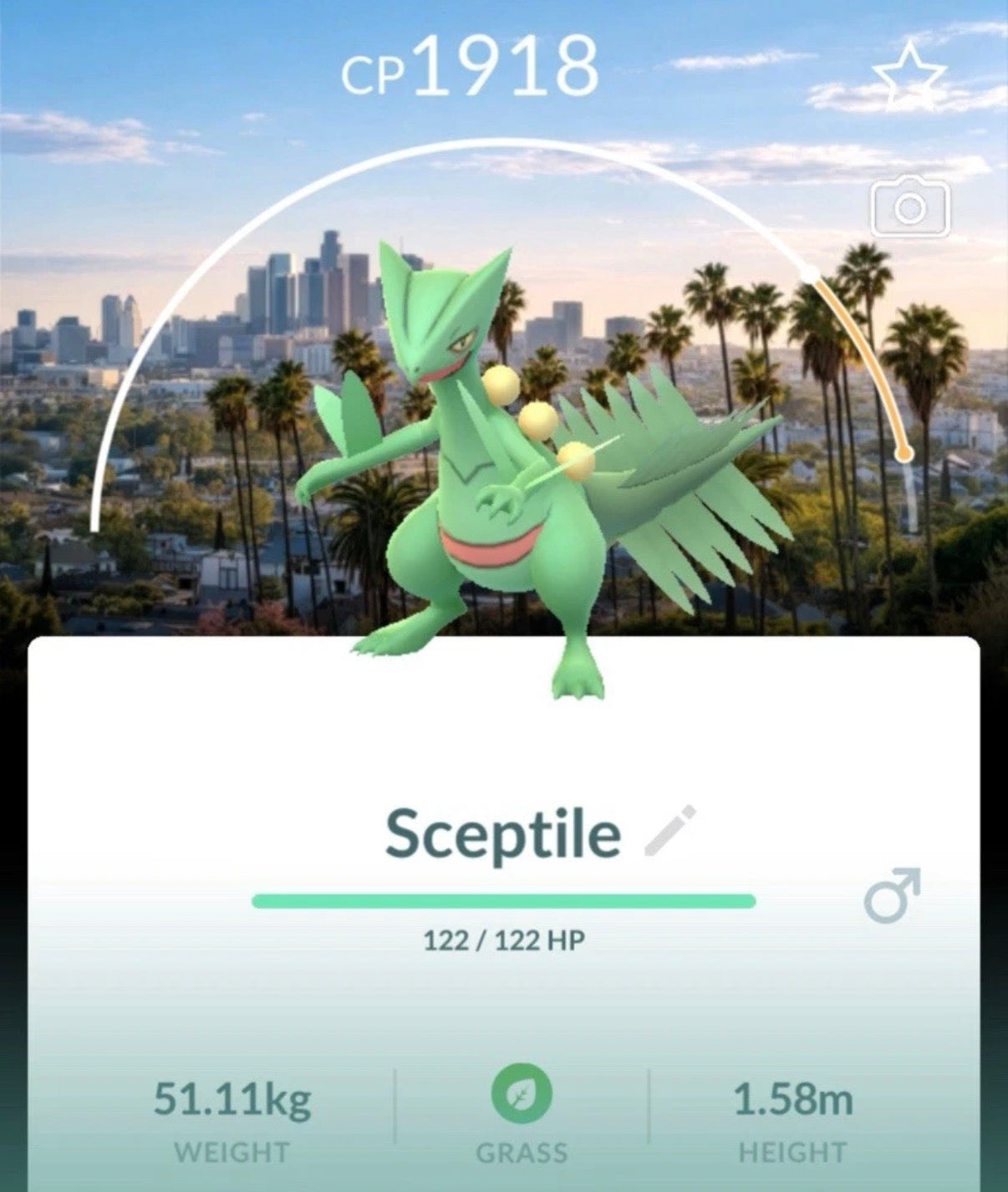 Sceptile LA background trade