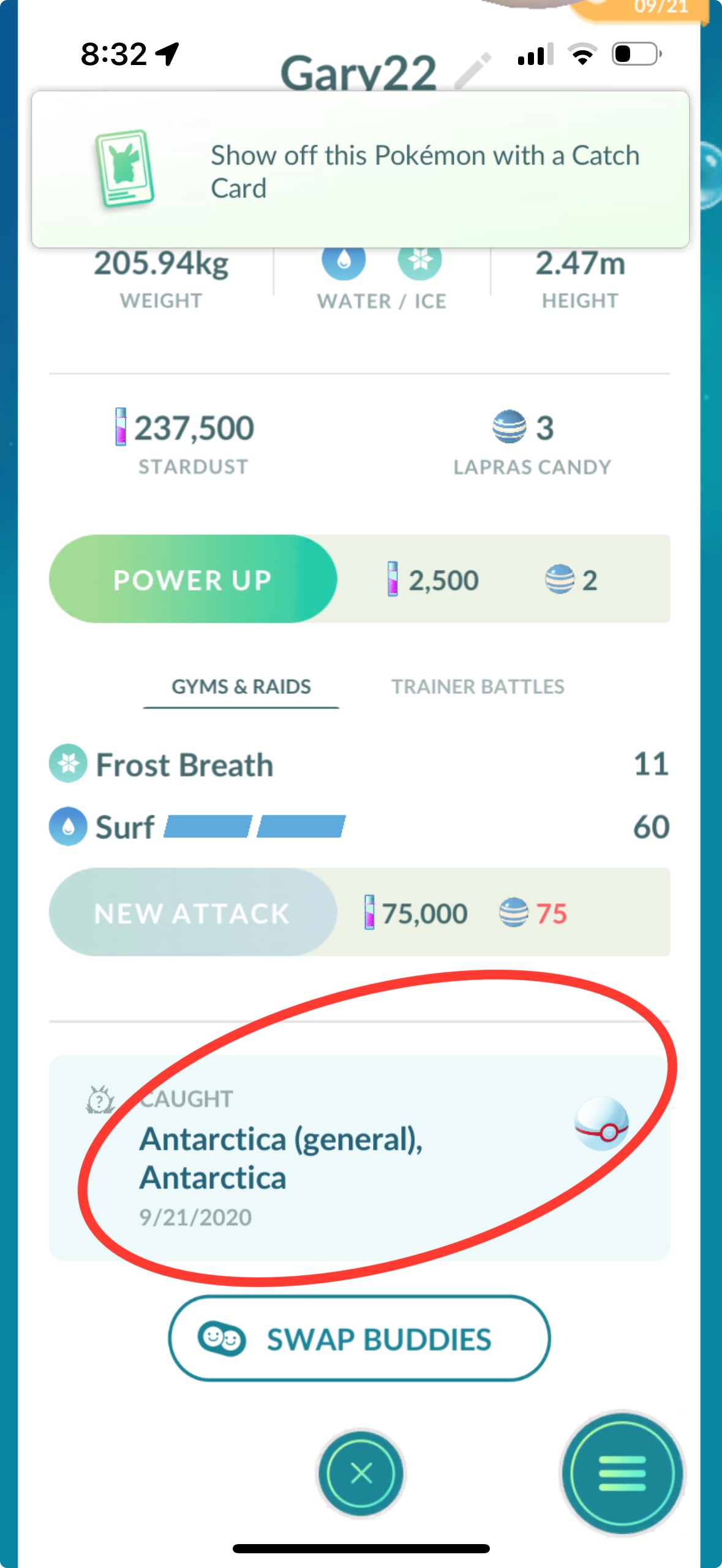 Lapras trade (caught from Antartica)