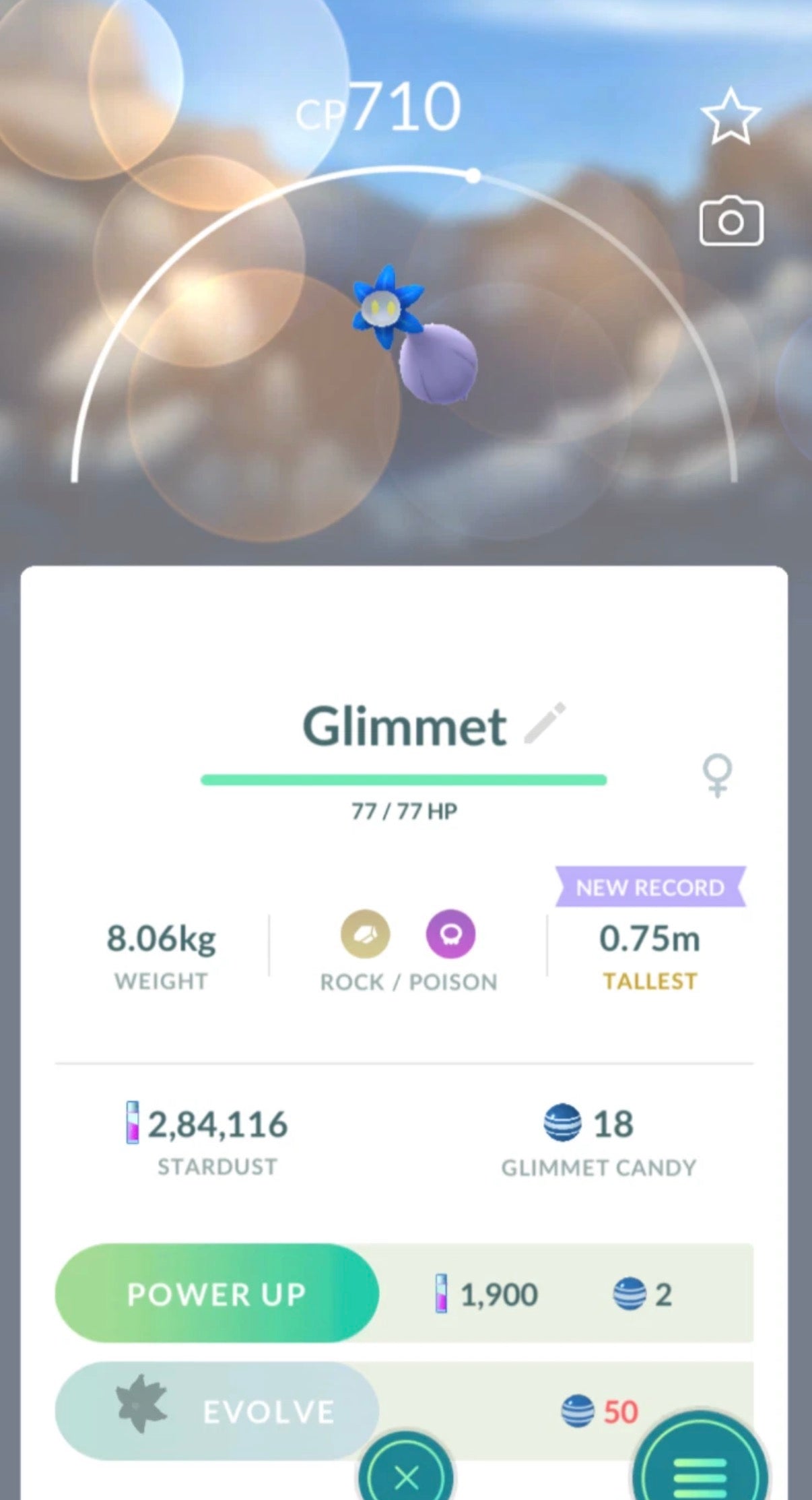 Glimmet trade
