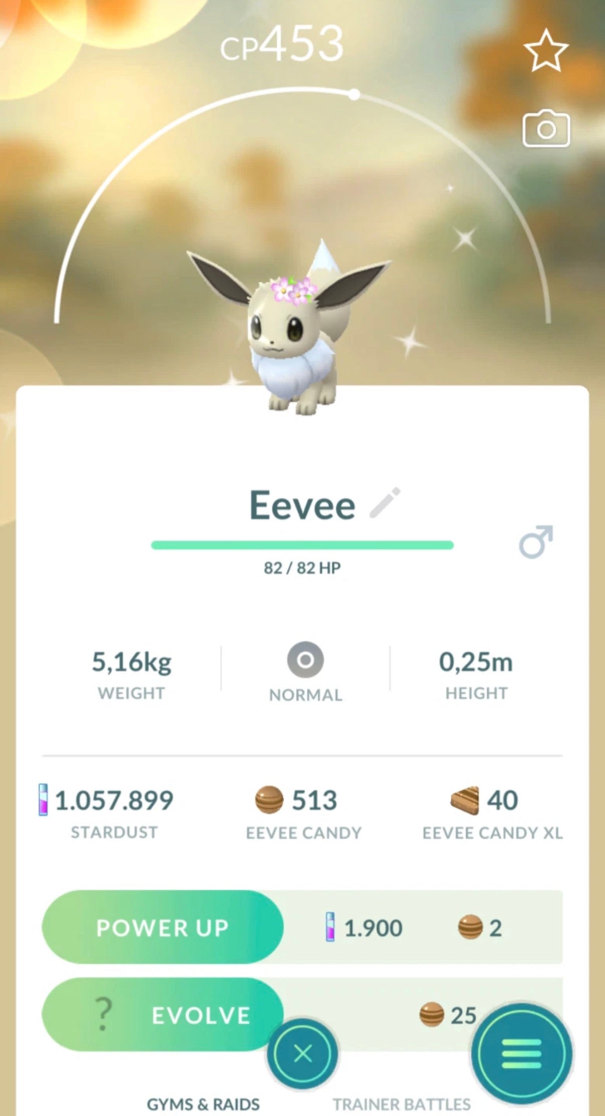 Shiny Eevee Flower Crown trade