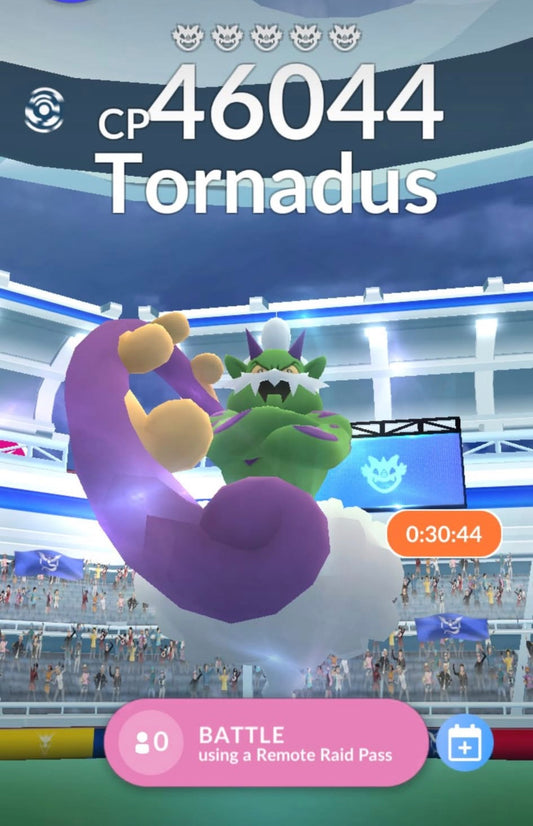 Raid Service (Tornadus, Mega Ampharos, Shadow Cresselia)