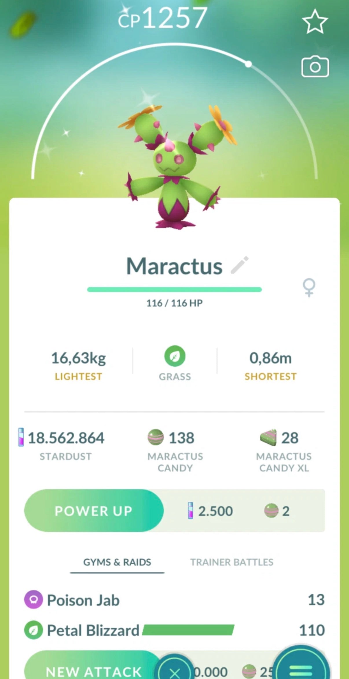 Shiny Maractus trade or account