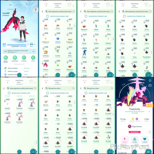 level80 account (41 Shiny/Legendary/Gigantamax)