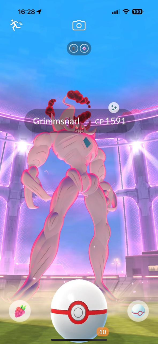 Raid Service (10-100 Raids completed + capture)