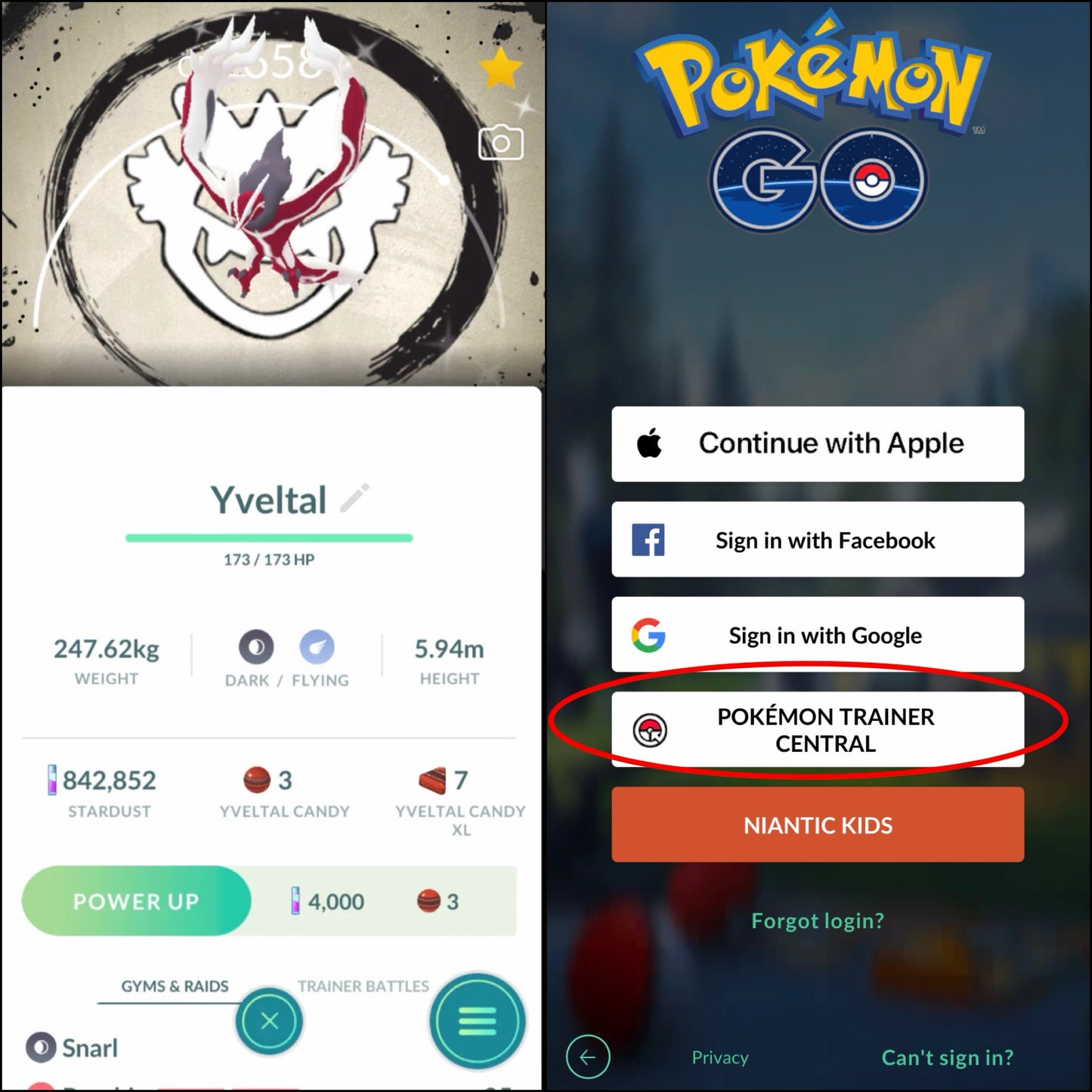 Shiny Yveltal GO Fest Background account