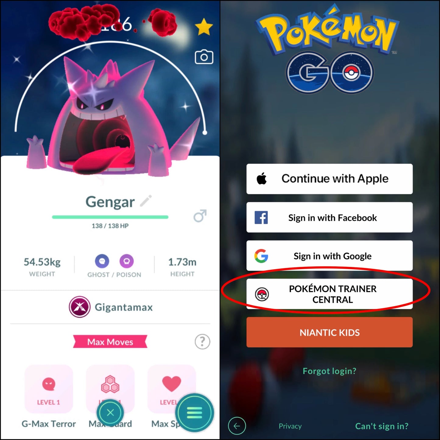 Shiny Gigantamax accounts